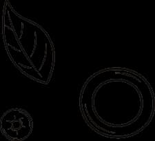 Decorative Vector